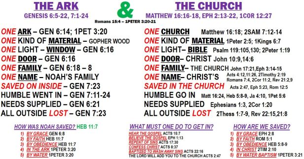 the Ark & the Church